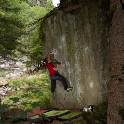 Frank Böttiger in "Scent of Mushroom", fb7A