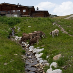 Silvretta, Austria