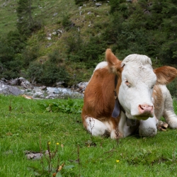 Zillertal, Austria