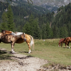 Val Daone, Italy