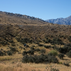 Flock Hill, Neuzealand
