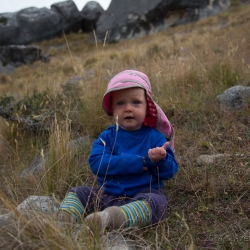 Flock Hill, Neuzealand