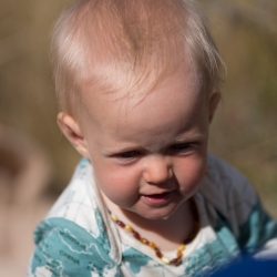 Flock Hill, Neuzealand