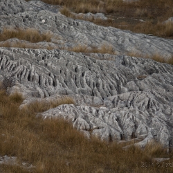 Flock Hill, Neuzealand