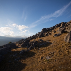 Flock Hill, Neuzealand