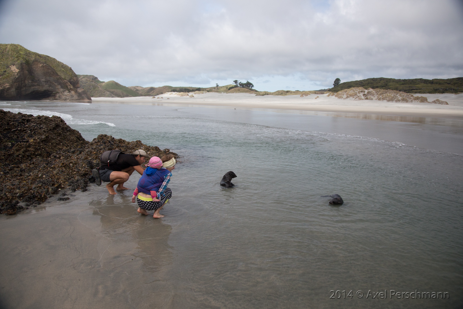 Wharariki Beach, New Zealand