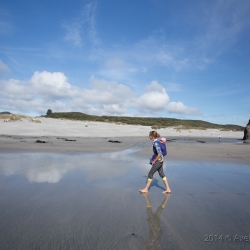 Wharariki Beach, New Zealand