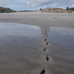 Wharariki Beach, New Zealand
