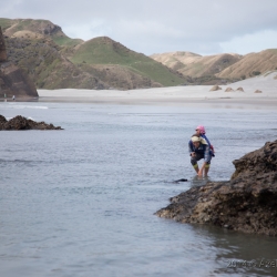 Wharariki Beach, New Zealand