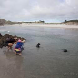 Wharariki Beach, New Zealand