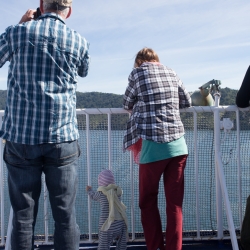 Ferry from Picton to Wellington
