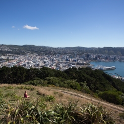 Wellington
