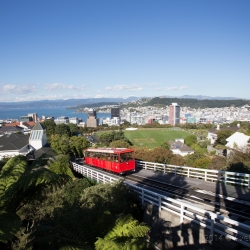 Wellington