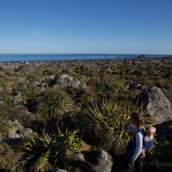 Turakirae, Neuseeland