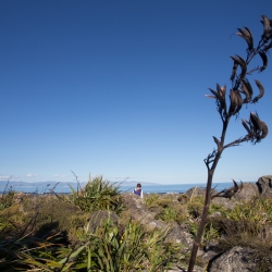 Turakirae, Neuseeland