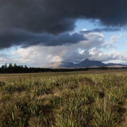Mount Ngauruhoe or "Mount Doom"