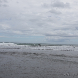 Muriwai Beach
