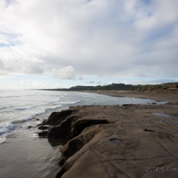 Muriwai Beach