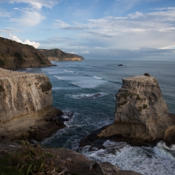 Muriwai Beach