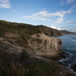 Muriwai Beach