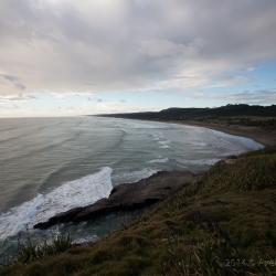 Muriwai Beach