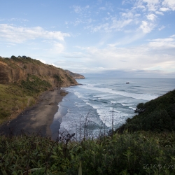 Muriwai Beach
