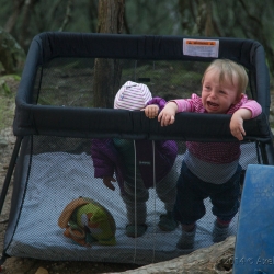 Finja findet Freunde