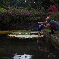 Tirtagangga Water Palace