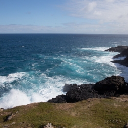 Cape Bridgewater