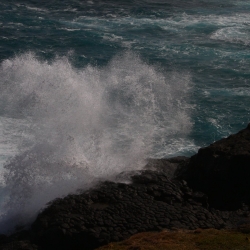 Blowhole