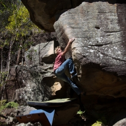 "Hairy Joes Banana Shack", V11
