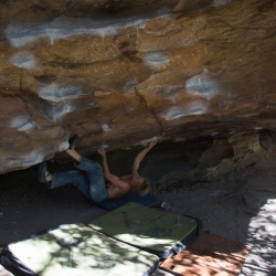 "Contact", V12