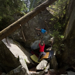 "Protektor", fb7b (Stefan Brugger)