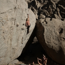 "The Secrets of the Beehive", V7