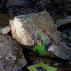 "Zwiderwurzn", fb7C+