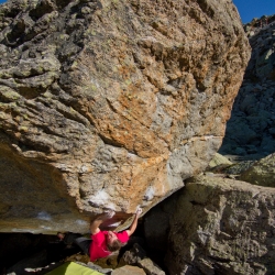 "Schattenkrieger", fb7C+