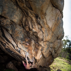 "In Between Fear and Desire", V10