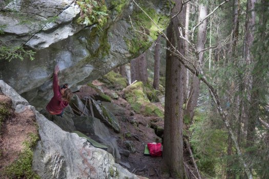 "Exclusive", fb7B