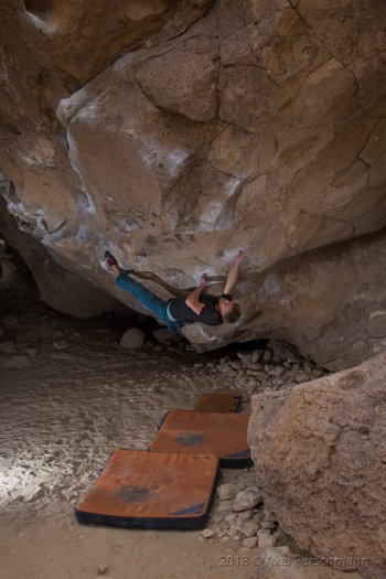 \"Kill On Sight\", V12